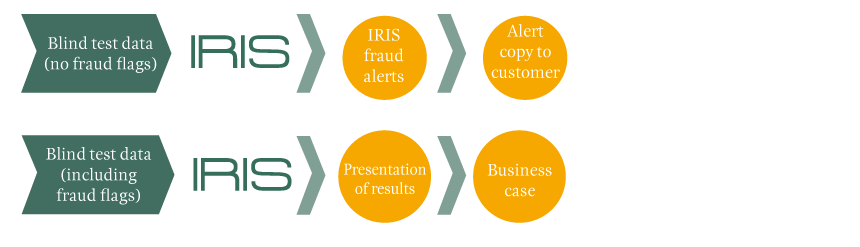 Illustration of the second stage of the IRIS Boardroom Pilot